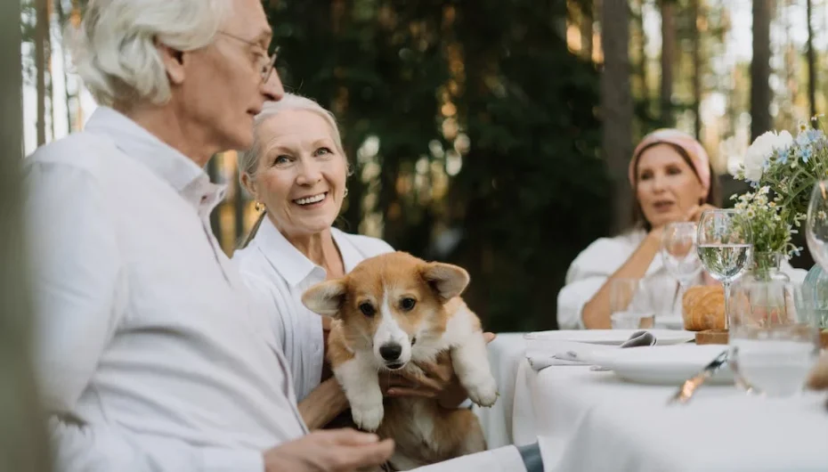 pet benefit seniors