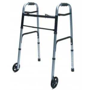 Regular Walkers
